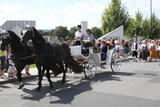 Historische Feste Tachov am 17.und 18.08.2013 - IMG_3621.JPG