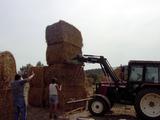 Stadtrodaer Strohfest 2003 - Bernd das Brot - PIC_0084.JPG