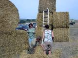 Stadtrodaer Strohfest 2003 - Bernd das Brot - PIC_0086.JPG