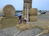 Stadtrodaer Strohfest 2003 - Bernd das Brot - PIC_0087.JPG