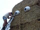 Stadtrodaer Strohfest 2003 - Bernd das Brot - PIC_0095.JPG