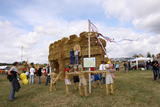 7. Stadtrodaer Strohfest 2009 - Figurenbau - IMG_5636.JPG