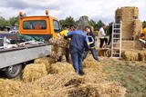 7. Stadtrodaer Strohfest 2009 - 1. Platz - Hanfried - IMG_5643.JPG