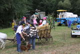 7. Stadtrodaer Strohfest 2009 - Großer Festumzug - IMG_4639.JPG