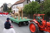 7. Stadtrodaer Strohfest 2009 - Großer Festumzug - IMG_4800.JPG