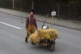 7. Stadtrodaer Strohfest 2009 - Großer Festumzug - IMG_4972.JPG