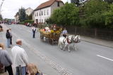 7. Stadtrodaer Strohfest 2009 - Großer Festumzug - IMG_4973.JPG